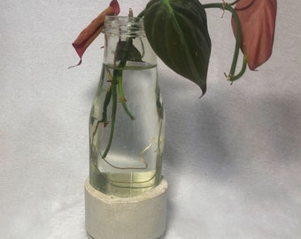 Concrete and Glass Vase Stone Propagation Vessel