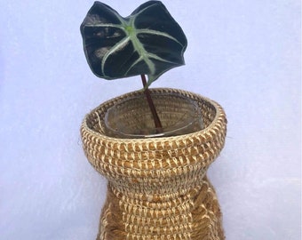 Crochet Rope Self Watering Planter Sustainable Eco Friendly Houseplant Pot Boho Flower Basin Container