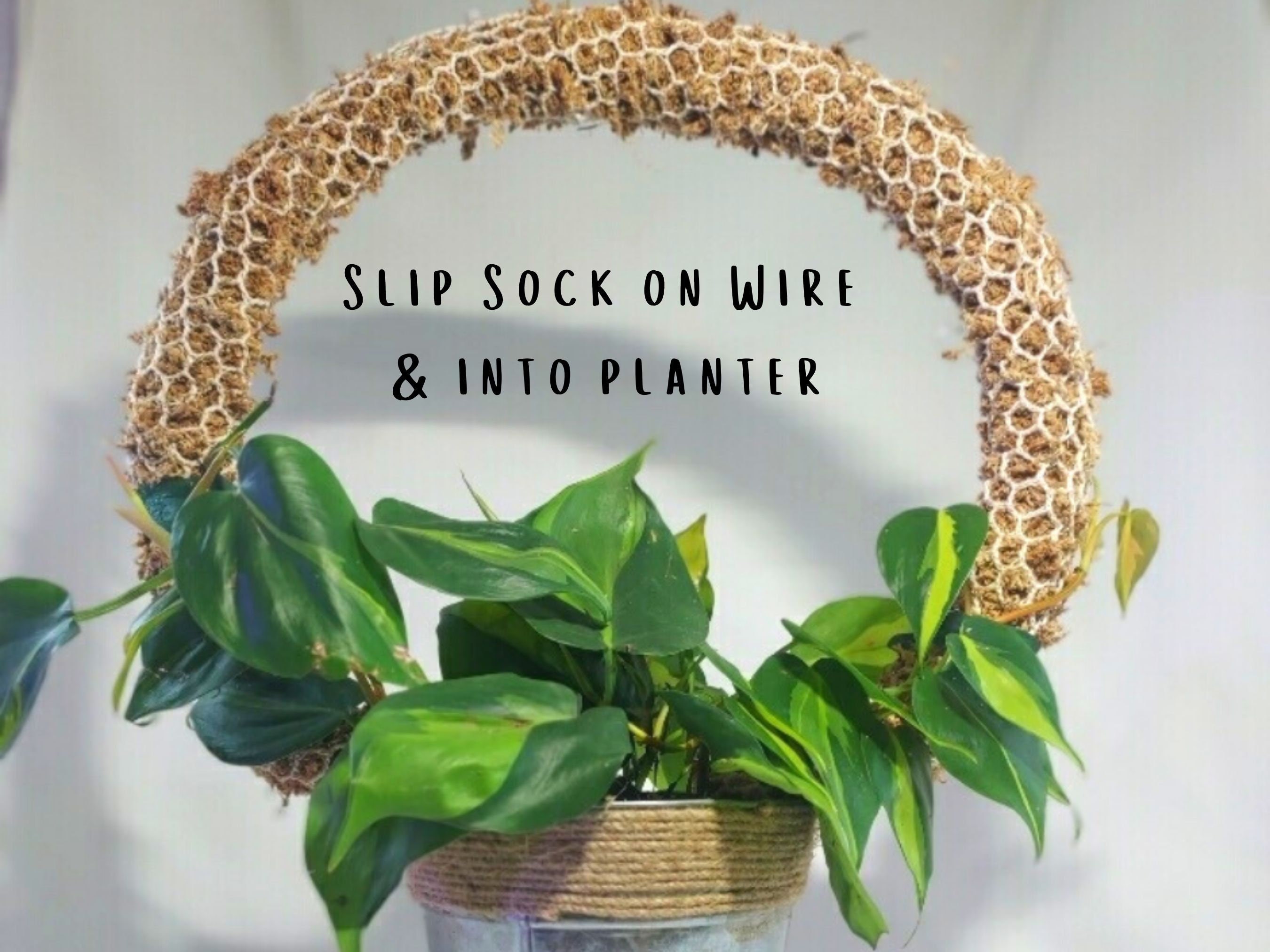 12 inch ceramic plant pot The HC Companies 12 Inch Sedona Round Self Watering Planter main image 0