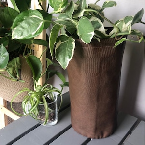 May include: A brown fabric plant pot with a green and white variegated plant growing inside. The pot is sitting on a gray wooden surface.