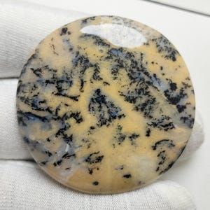Raro cabochon di agata dendritica da 84,80 ct, forma rotonda, pietra preziosa di agata 43x43x4 mm / Cabochon liscio, grande pietra sciolta di agata dendritica per ciondolo