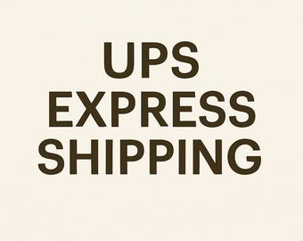 Mise à niveau de l'expédition UPS Express – Livraison rapide et sécurisée