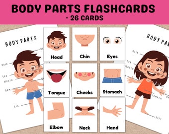 Body Parts Flashcards, Homeschool Montessori Materials, Toddler Flash Cards, Toddler Activity Kindergarten Game Printable Kids PDF