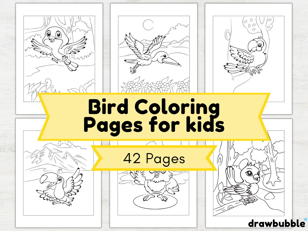 Bird Coloring Pages for Kids  Birds Instant Download