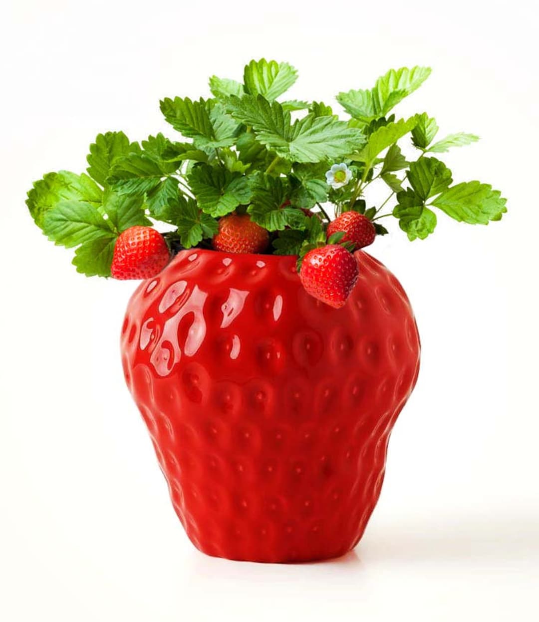 Ceramic Strawberry Flower Vase Strawberry Gift Ceramic Etsy