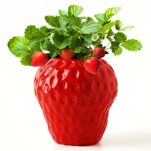 Strawberry Jar Planter Etsy