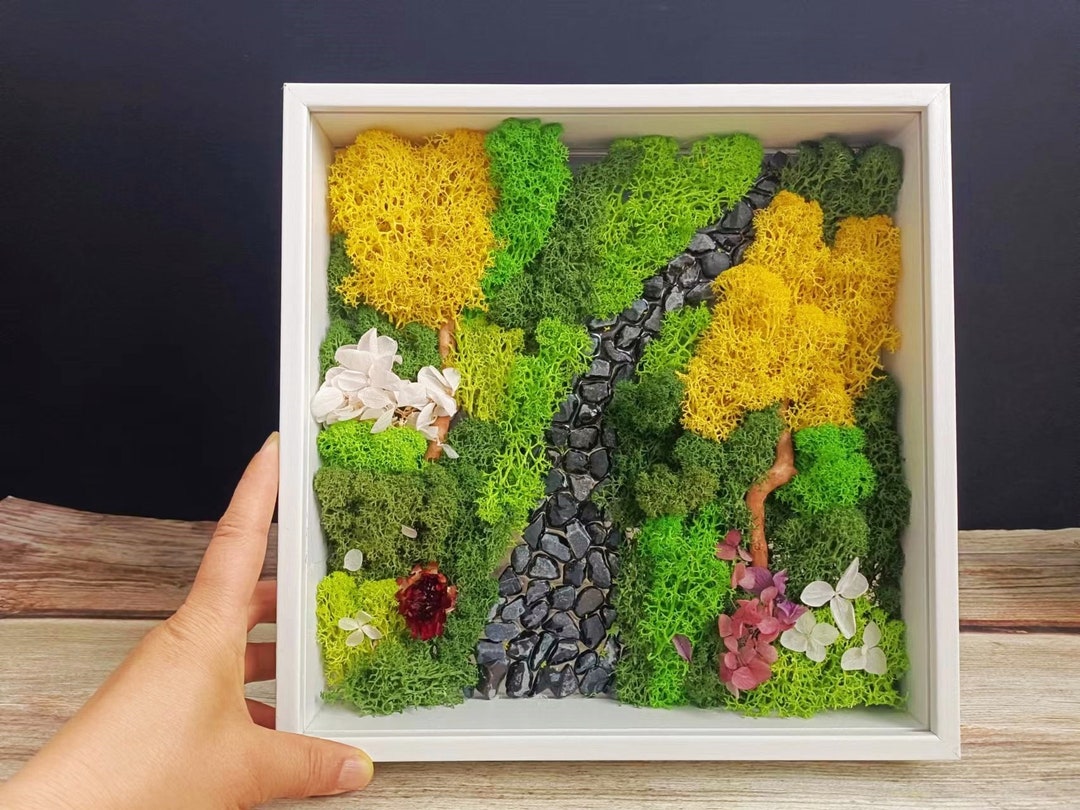 Living Moss Art DIY Moss Frame Art Creative Wooden Photo Etsy