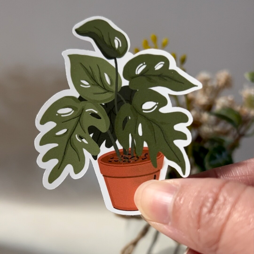 Monstera Plant Sticker | Waterproof Die-cut Sticker | Water Bottle ...