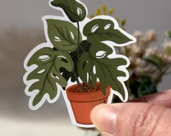 Monstera Plant Sticker | Waterproof Die-cut Sticker | Water Bottle Sticker | Stationery |  Decorative Sticker | Home Decor Sticker