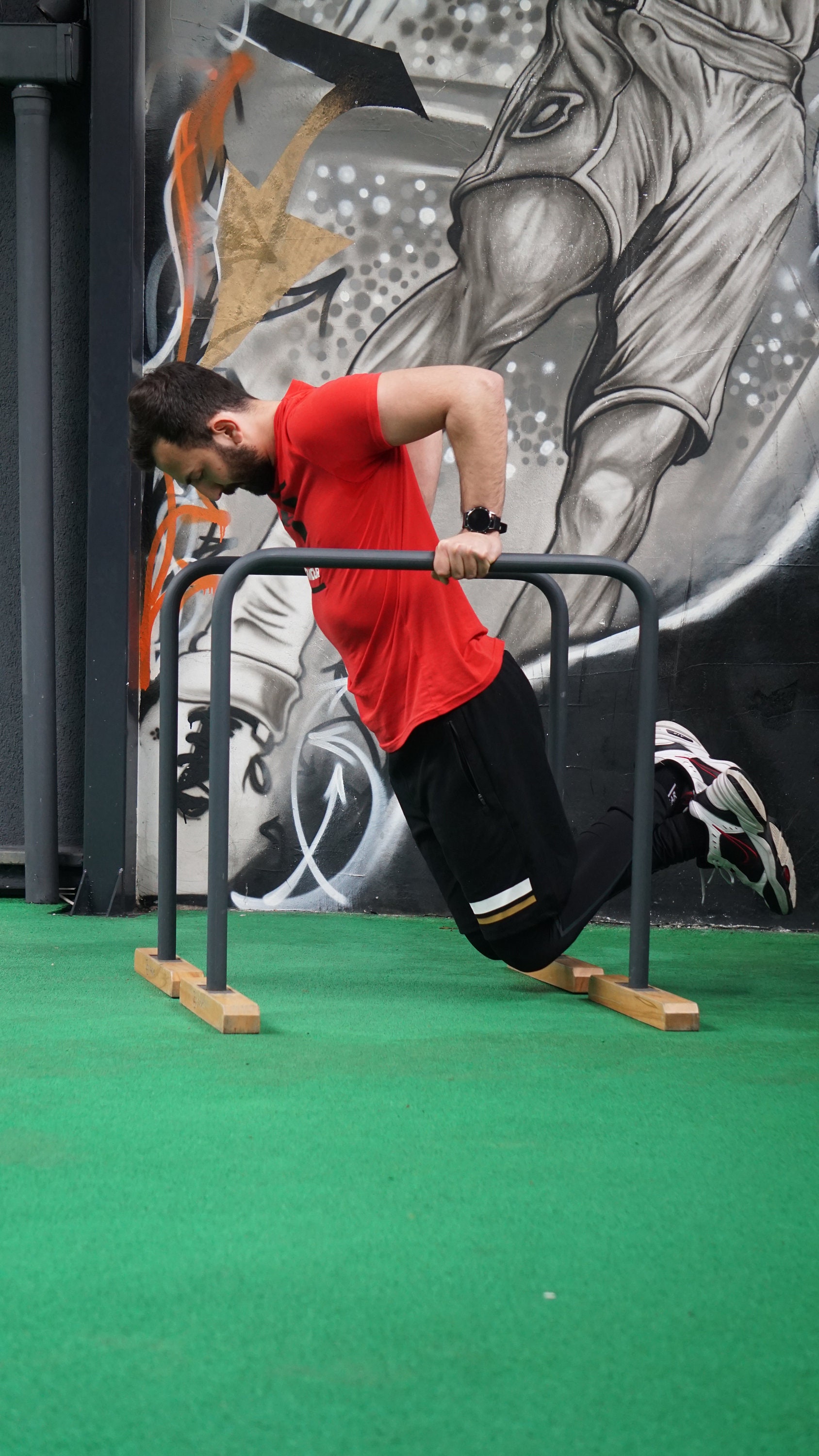 Upper Body Blast Set Parallettes Parallel Bars Push up Handstand Pull