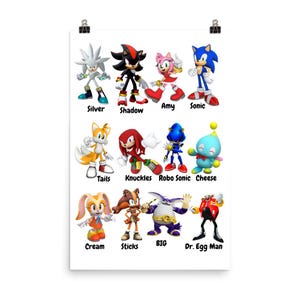 Póster de papel mate mejorado de Sonic All-Star