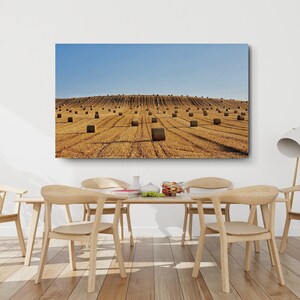 Farm Fields of Anstruther
