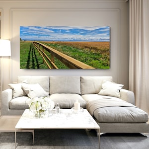 Fields of Anstruther