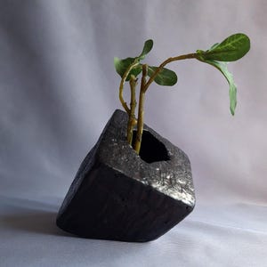 Könnte beinhalten: Eine schwarze Keramikvase mit einer einzigartigen, eckigen Form und einer kleinen Öffnung für Blumen. Eine kleine Pflanze mit grünen Blättern steht in der Vase.