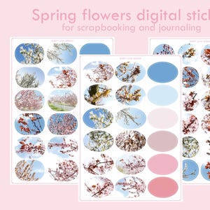 Blühende Frühlingsblumen, Sakura Sticker für Journaling, Scrapbooking, Planung, Print, Notability, Samsung Notes