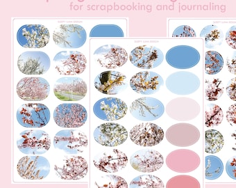 Aesthetic spring blooming flowers, Sakura Digital Stickers for journaling, scrapbooking, planning, print, Notability, Samsung Notes