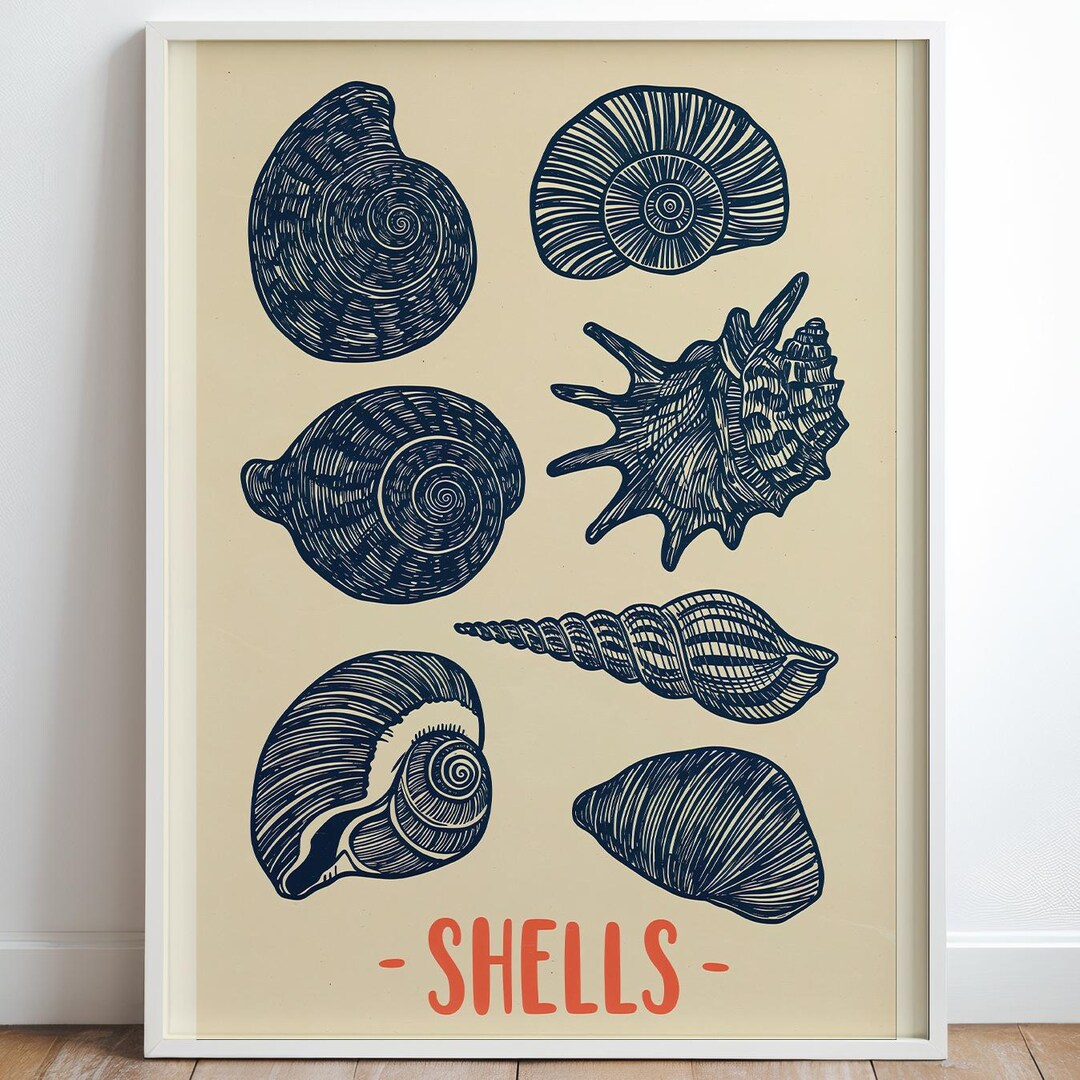 Coastal Shells Art Print, Beach House Wall Decor - Etsy