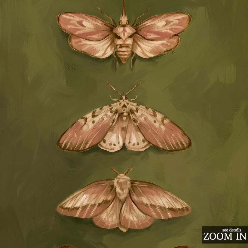 Vintage Moth Poster - Dark Academia Wall Art, Entomology Insect Poster ...