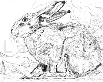Hare, by Sarah Milteer