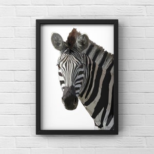 Zebra Printable Design, African animal wall decor, Safari zebra art, Geometric Wall Art,  Zebra Portrait