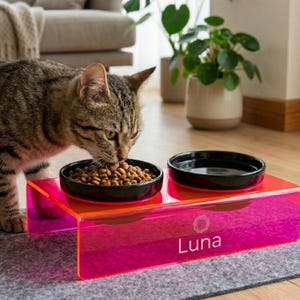 May include: A tabby cat eats from a black bowl on a bright pink and orange elevated pet feeder. The feeder has two bowls and the word "Luna" printed on the front. The feeder sits on a gray mat.