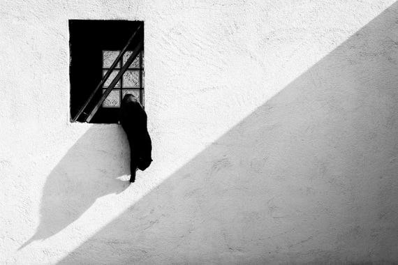 Minimalistische Schwarzweiß Fotografie – Katze im Fenster | Original Fine Art Print | Moderne Wandkunst – "Cat" (2020)