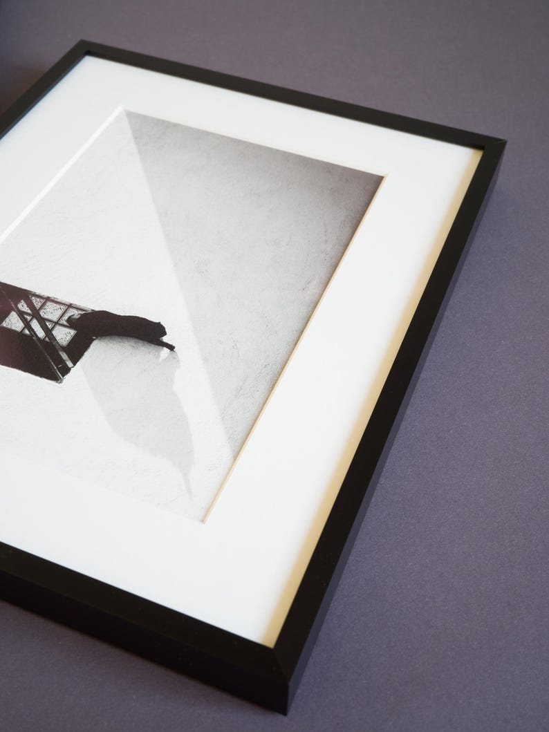 May include: A black and white framed print featuring a silhouette of a cat resting near a window frame. The artwork is encased in a thin black frame with a white mat border, creating a high-contrast composition with sharp geometric shadows.