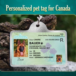 etiqueta de perro, Canadá, etiqueta de mascota personalizada, etiqueta de mascota, Labrador, pastor alemán, golden retriever, Bulldog, Corgi, licencia de conducir de mascota
