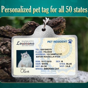 Médaille pour chat, médaille pour chat personnalisée, médaille pour animal de compagnie, permis de conduire pour animal de compagnie, chat tigré américain, American Curl Ragdoll