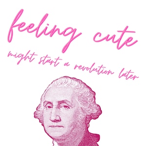 May include: A pink and white graphic with the text "feeling cute might start a revolution later" and a pink image of George Washington.