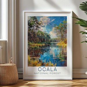 Regalo de viaje personalizado: impresión de viaje del bosque nacional de Ocala: regalo de arte de Florida, regalo para viajeros, regalo de cumpleaños, recuerdo, regalo para papá