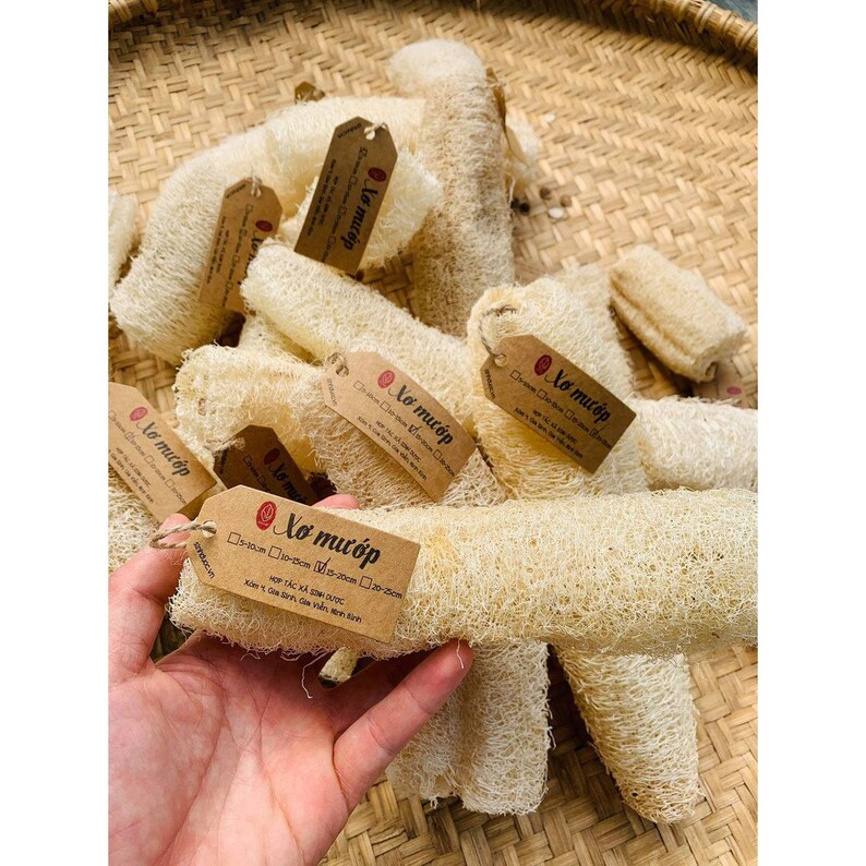 Natural Loofah for Bathing, Exfoliating, Dishwashing, Loofah Sponge