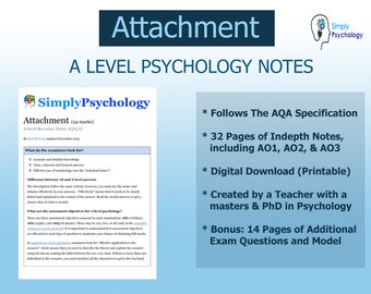 Attachment | Psychology A-Level Revision Notes for AQA  | Clear Digital Notes by SimplyPsychology.org | Exam Questions & Model Answers