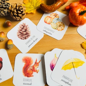 30 cartes nomenclature de l’automne, imagier, jeu inspiration Montessori