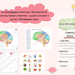 Puede incluir: Un kit educativo digital para descubrir el cerebro humano. El kit incluye un rompecabezas, una actividad para raspar y un juego sobre la alimentación saludable. El kit está ilustrado con un cerebro de dibujos animados colorido e incluye instrucciones sobre cómo imprimir, plastificar, cortar y jugar.