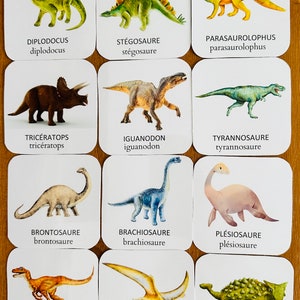Dinosaurier-Nomenklaturkarte – Lernspiel – Kindergarten-Lernen – Montessori-Inspiration