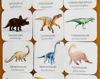 Carte de nomenclature les dinosaures- jeu éducatif -apprentissage maternelle-inspiration montessori