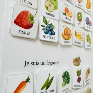 Jeu de reconnaissance fruits & légumes plastifié ou magnétique Montessori image 1