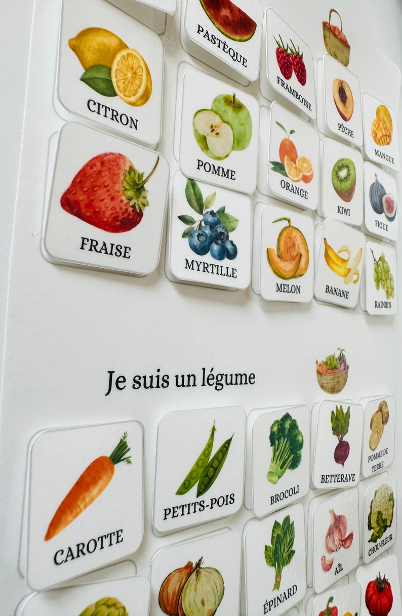 Jeu de reconnaissance fruits & légumes plastifié ou magnétique Montessori image 1