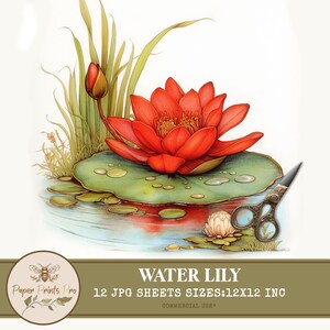 Water Lily Clipart – 12 Lotus and Pond Illustrations for Scrapbooking and Crafts - Paper Prints Pro