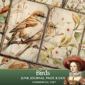 Junk Journal pages with birds, perfect old pages suitable for scrapbooking and journaling
