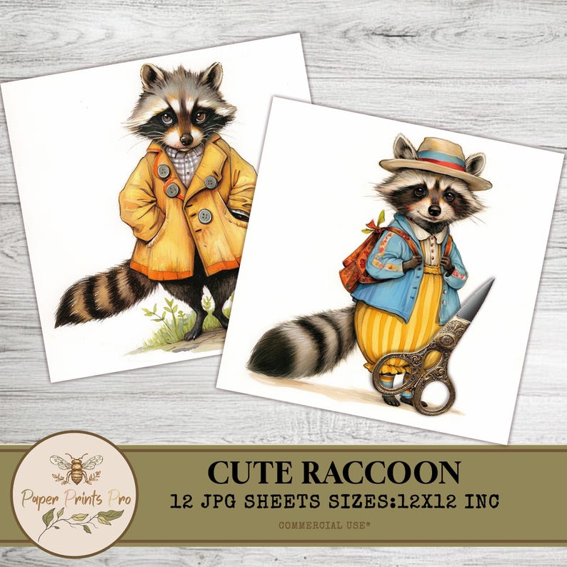 Cute Raccoon Clipart, Vintage Animal Illustration, 12 JPG Images, 12x12 Inch, for Scrapbooking & Crafts -Clip Art Paper Prints Pro