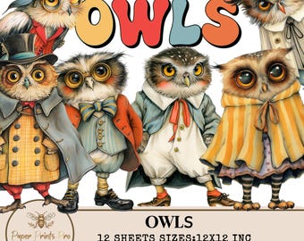 Vintage Owls Clipart JPG - 12 Digital Papers for Scrapbooking & Crafts -Clip Art PaperPrintsPro