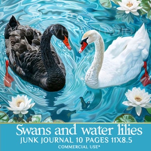 Black and White Swan Scrapbook Pages - Nature Inspired Collage Images for Junk Journal Kit
