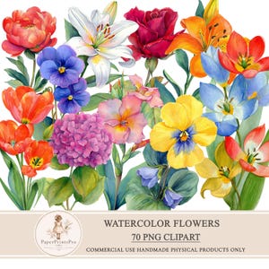 Pode incluir: Ilustração em aquarela de várias flores em plena floração. A imagem inclui peónias vermelhas, lírios brancos, rosas vermelhas, lírios laranja e amarelos, amores-perfeitos azuis e outras flores coloridas. O texto "WATERCOLOR FLOWERS 70 PNG CLIPART" também está incluído.
