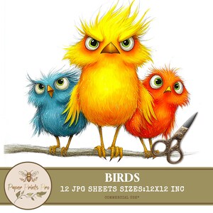 Birds Clipart PNG – Quirky Whimsical Birds on Wire, Funny Cartoon Bird Illustrations, Sublimation Graphics,  Whimsy Clip Art