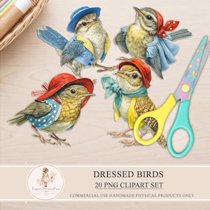Op de afbeelding: Een verzameling van vier grillige vogelillustraties, elk versierd met charmante outfits, waaronder hoeden en jasjes. Een schaar met gele handvatten en blauwgroene bladen is ook aanwezig. De tekst luidt "DRESSED BIRDS 20 PNG CLIPART SET".