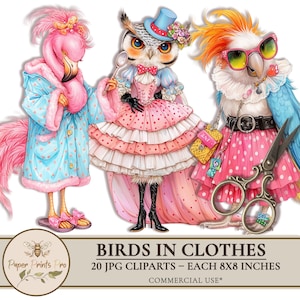 Printable Bird Clipart – Funny Dressed Birds in Outfits, JPG Bundle by PaperPrintsPro