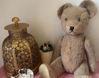 ¡Próximamente! Oso de peluche embrujado con espíritu Strigoi: recipiente espiritual rumano, compañero oscuro, reliquia oculta, entidad pariente de vampiros.