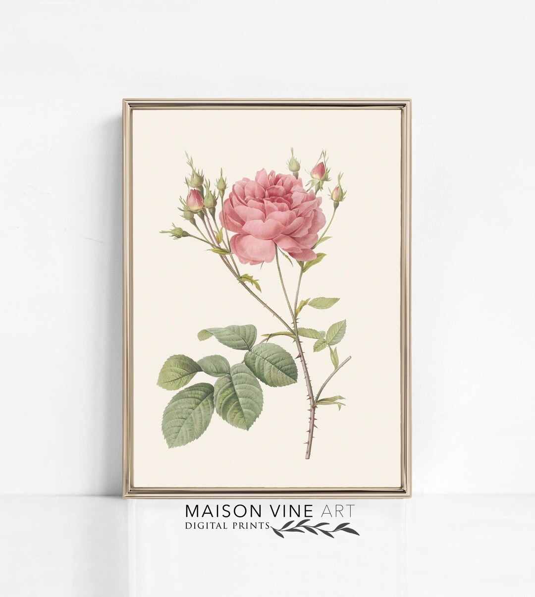Vintage Rose Botanical Print | Printable Flower Art | Antique Home ...